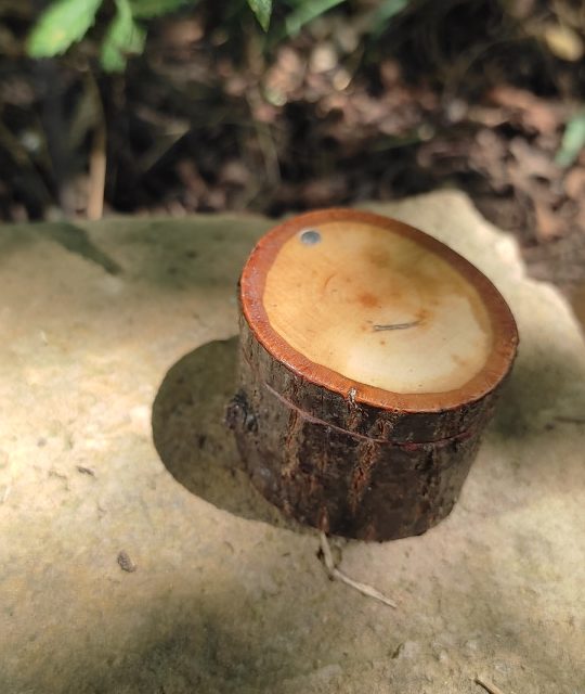 kutijica za prstenje od Bora kutijica za prstenje od Bora